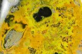 Very Vibrant, Free-Standing Polished Bumblebee Jasper #358615-1